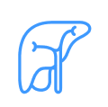 Liver Support